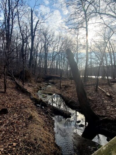Needwood Lake - Derwood, MD