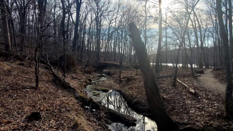 Needwood Lake - Derwood, MD