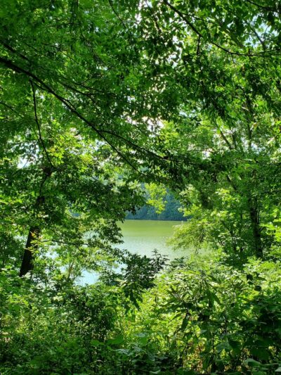 Needwood Lake - Derwood, MD