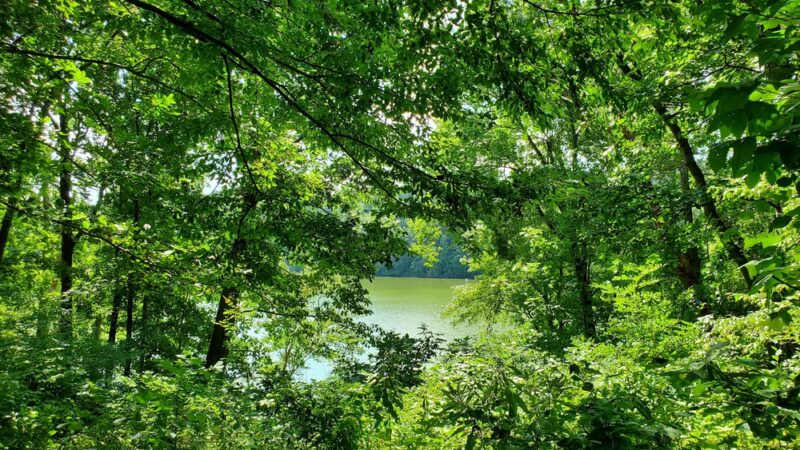 Needwood Lake - Derwood, MD
