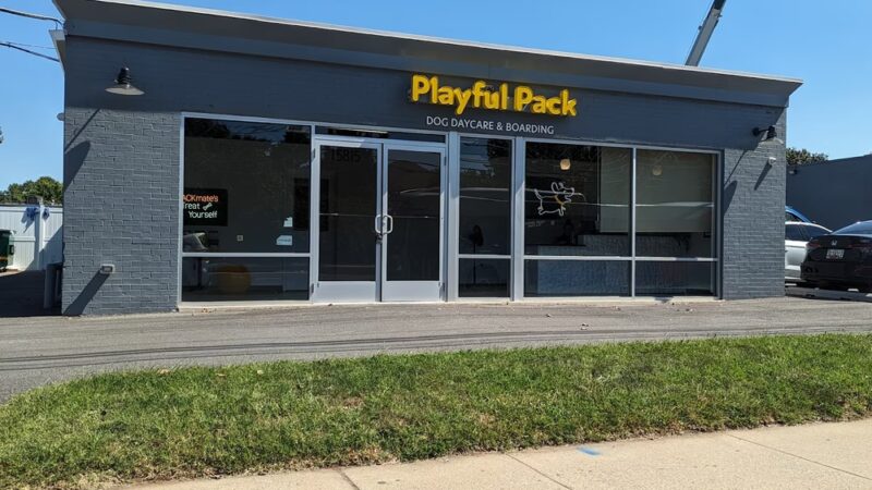 Playful Pack - Derwood, MD