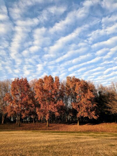 Redland Local Park - Derwood, MD