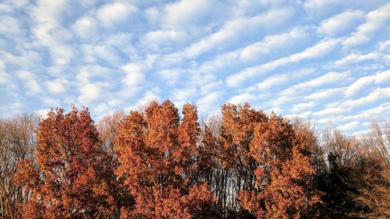 Redland Local Park - Derwood, MD