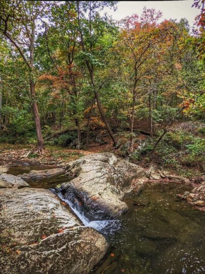 Rock Creek Regional Park - Derwood, MD