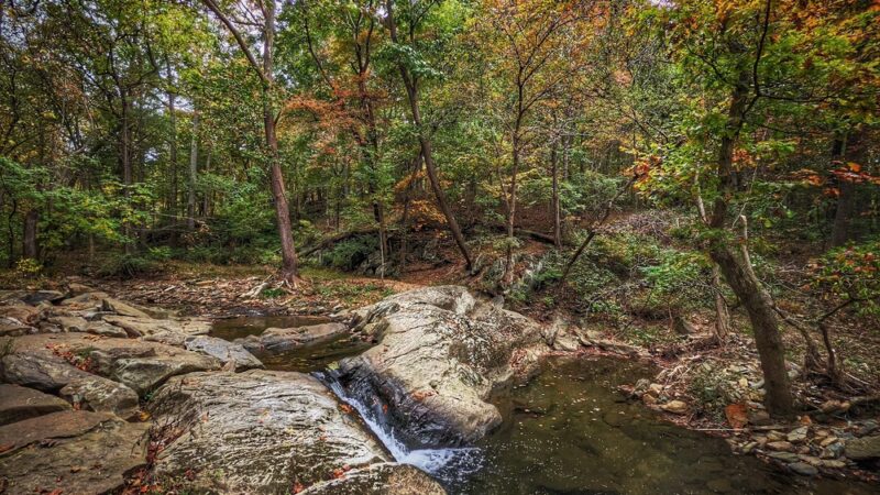 Rock Creek Regional Park - Derwood, MD