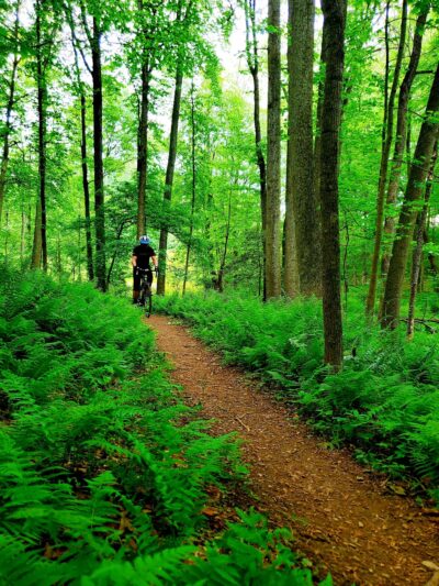 Rock Creek Regional Park - Derwood, MD