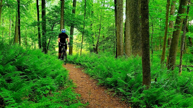 Rock Creek Regional Park - Derwood, MD