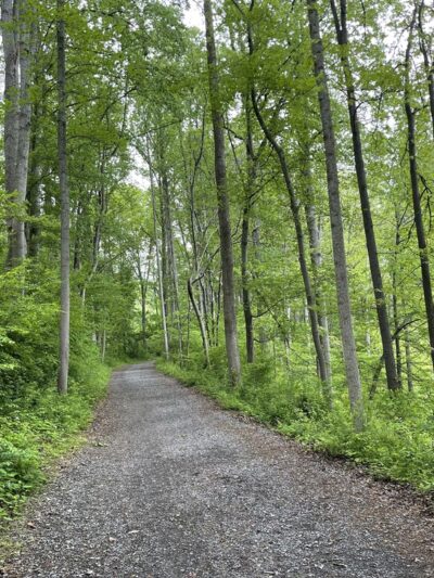 Westside Trail - Derwood, MD