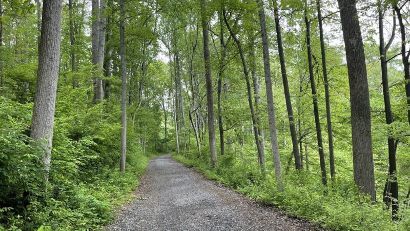 Westside Trail - Derwood, MD
