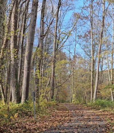 Westside Trail - Derwood, MD