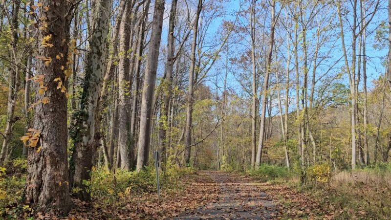 Westside Trail - Derwood, MD