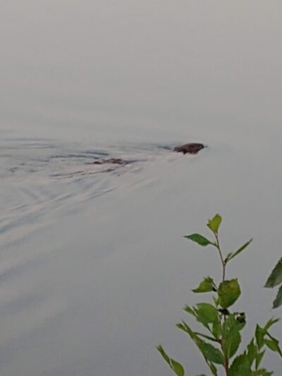 Copper Creek Park - Des Moines, IA