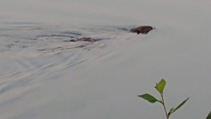 Copper Creek Park - Des Moines, IA