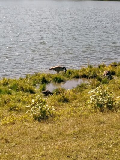 Copper Creek Park - Des Moines, IA