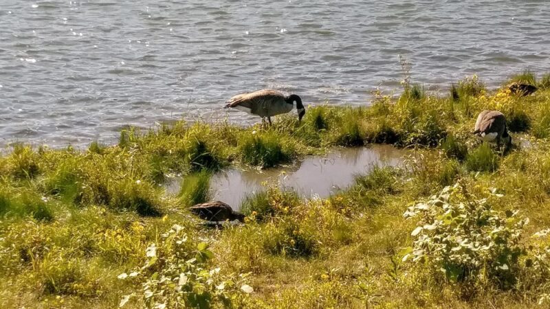 Copper Creek Park - Des Moines, IA