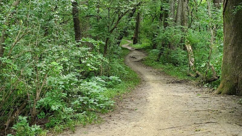 Denman's Woods Trail - Des Moines, IA