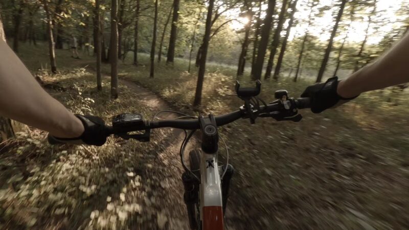 Denman's Woods Trail - Des Moines, IA