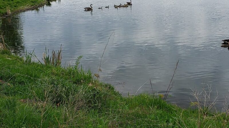 Easter Lake Spine Trail - Des Moines, IA