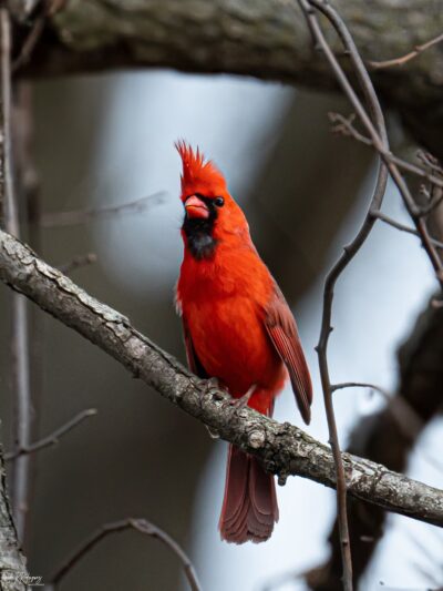 Easter Lake Spine Trail - Des Moines, IA