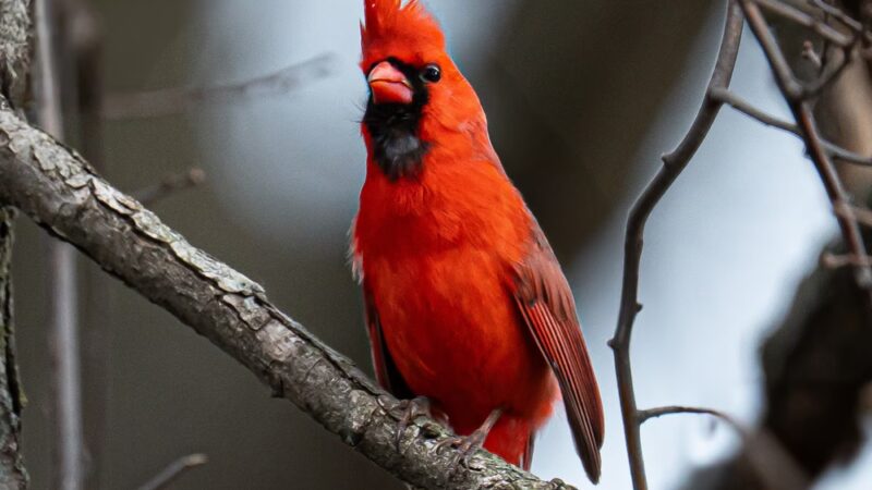 Easter Lake Spine Trail - Des Moines, IA