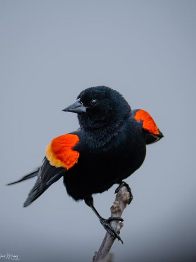 Easter Lake Spine Trail - Des Moines, IA