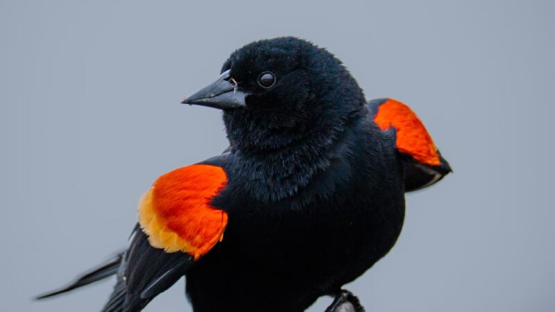 Easter Lake Spine Trail - Des Moines, IA