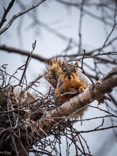 Easter Lake Spine Trail - Des Moines, IA