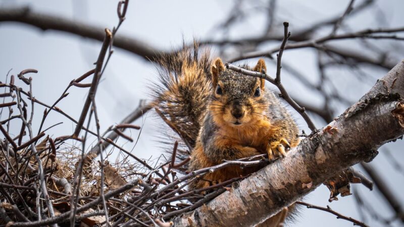 Easter Lake Spine Trail - Des Moines, IA
