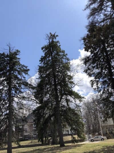 Union Park - Des Moines, IA