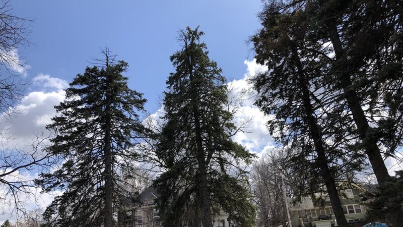 Union Park - Des Moines, IA