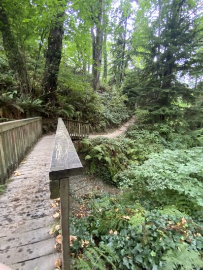 McSorley Creek Loop Trail - Des Moines, WA