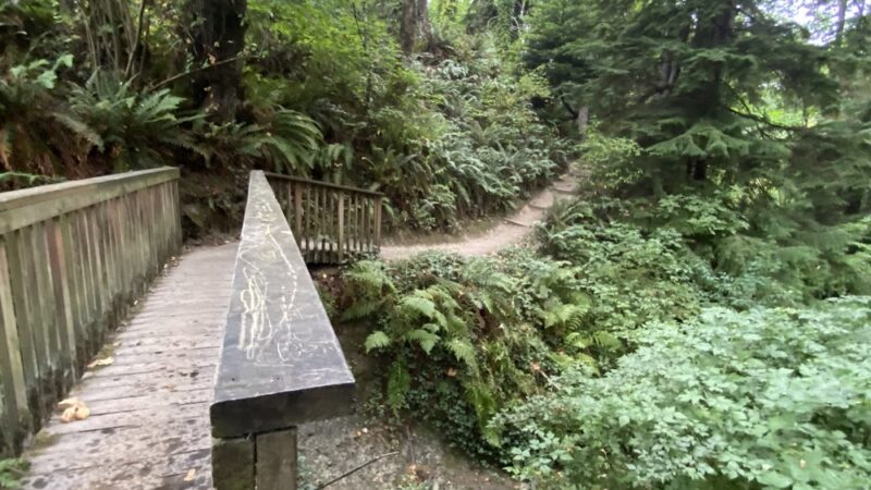 McSorley Creek Loop Trail - Des Moines, WA