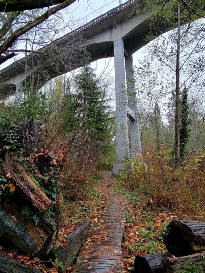 McSorley Creek Loop Trail - Des Moines, WA