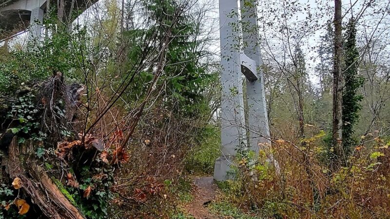 McSorley Creek Loop Trail - Des Moines, WA