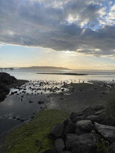 South Marina Park - Des Moines, WA