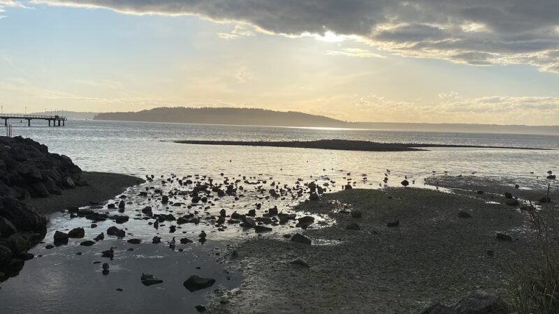 South Marina Park - Des Moines, WA