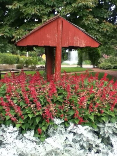 Rosemary S. Argus Friendship Park - Des Plaines, IL