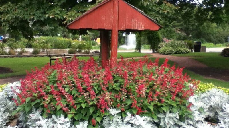 Rosemary S. Argus Friendship Park - Des Plaines, IL