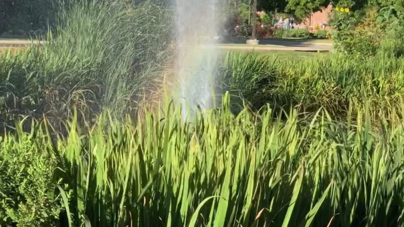 Rosemary S. Argus Friendship Park - Des Plaines, IL