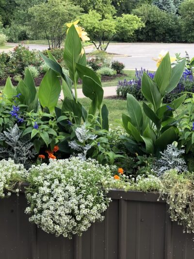 Rosemary S. Argus Friendship Park - Des Plaines, IL