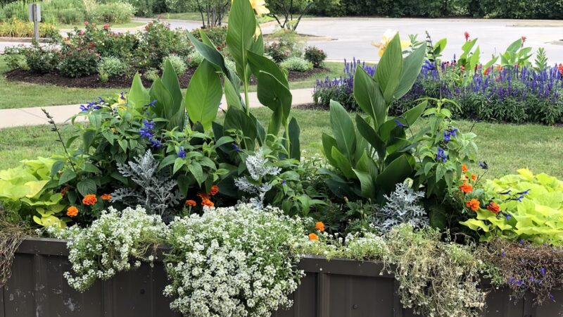 Rosemary S. Argus Friendship Park - Des Plaines, IL