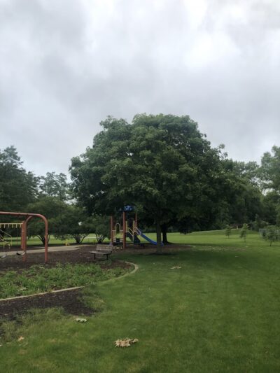 Des Plaines Manor Park - Des Plaines, IL