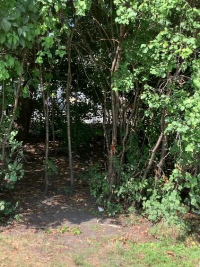 Kathy - Western Park - Des Plaines, IL