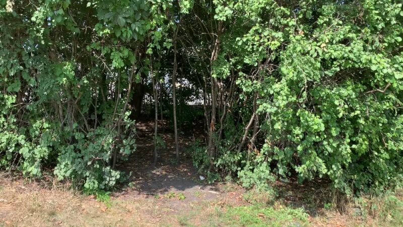 Kathy - Western Park - Des Plaines, IL