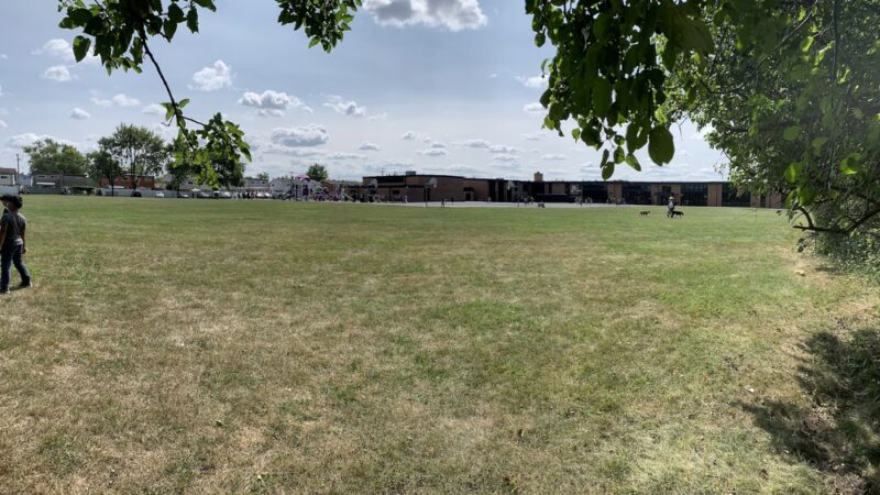 Kathy - Western Park - Des Plaines, IL