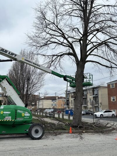 Menominee Park - Des Plaines, IL