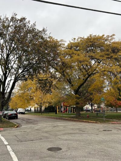 Menominee Park - Des Plaines, IL