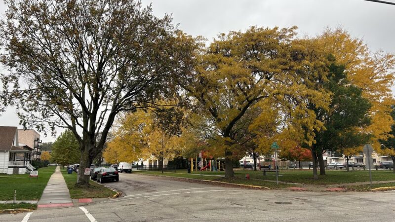 Menominee Park - Des Plaines, IL