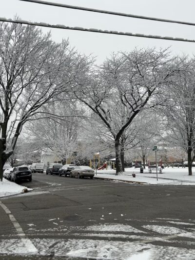 Menominee Park - Des Plaines, IL