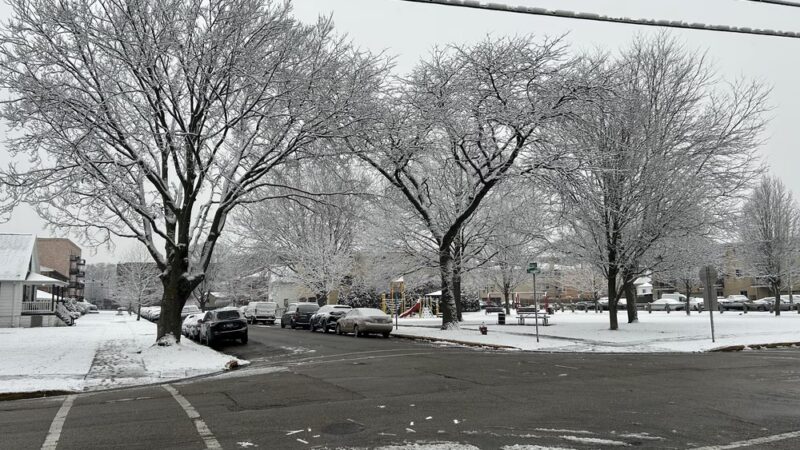 Menominee Park - Des Plaines, IL